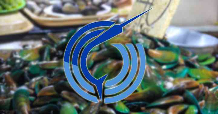 BFAR issues shellfish ban in 8 coastal areas positive for toxic red tide