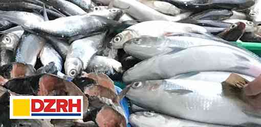 BFAR clarifies campaign against imported fish products in wet markets