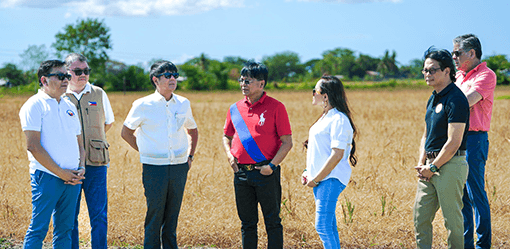 PBBM vow continuous aid to farmers affected by El Niño