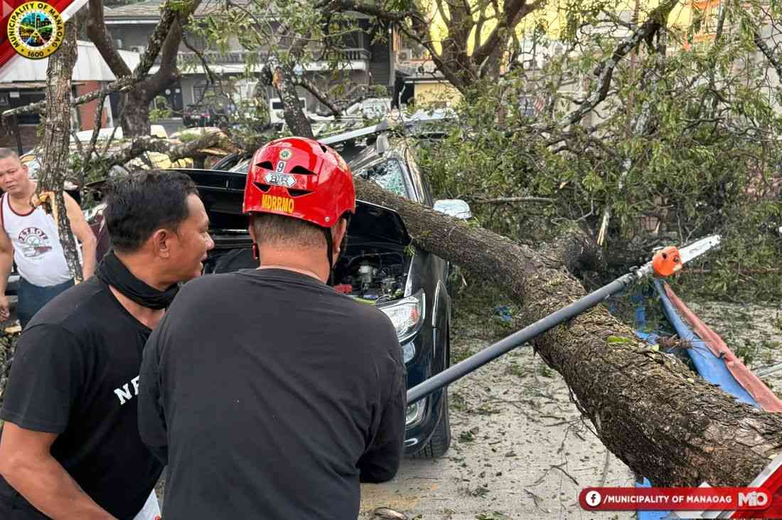 Falling tree damages four vehicles at Manaoag Basilica
