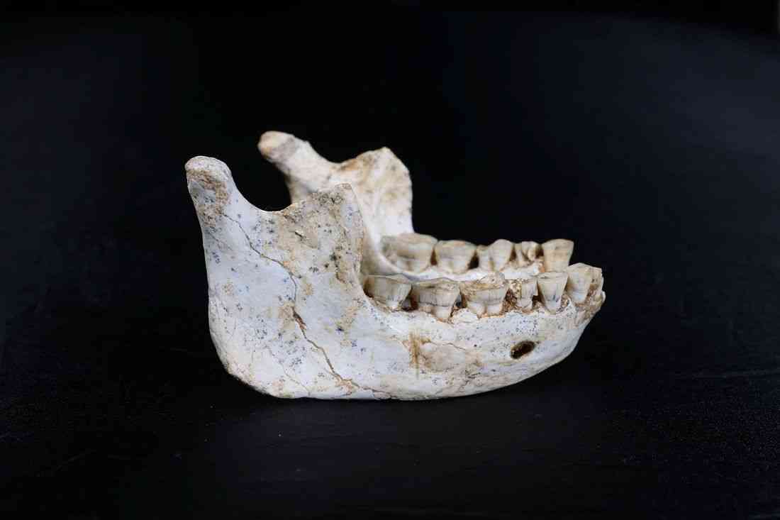 Fossils found in Moroccan cave may be a close Homo sapiens ancestor