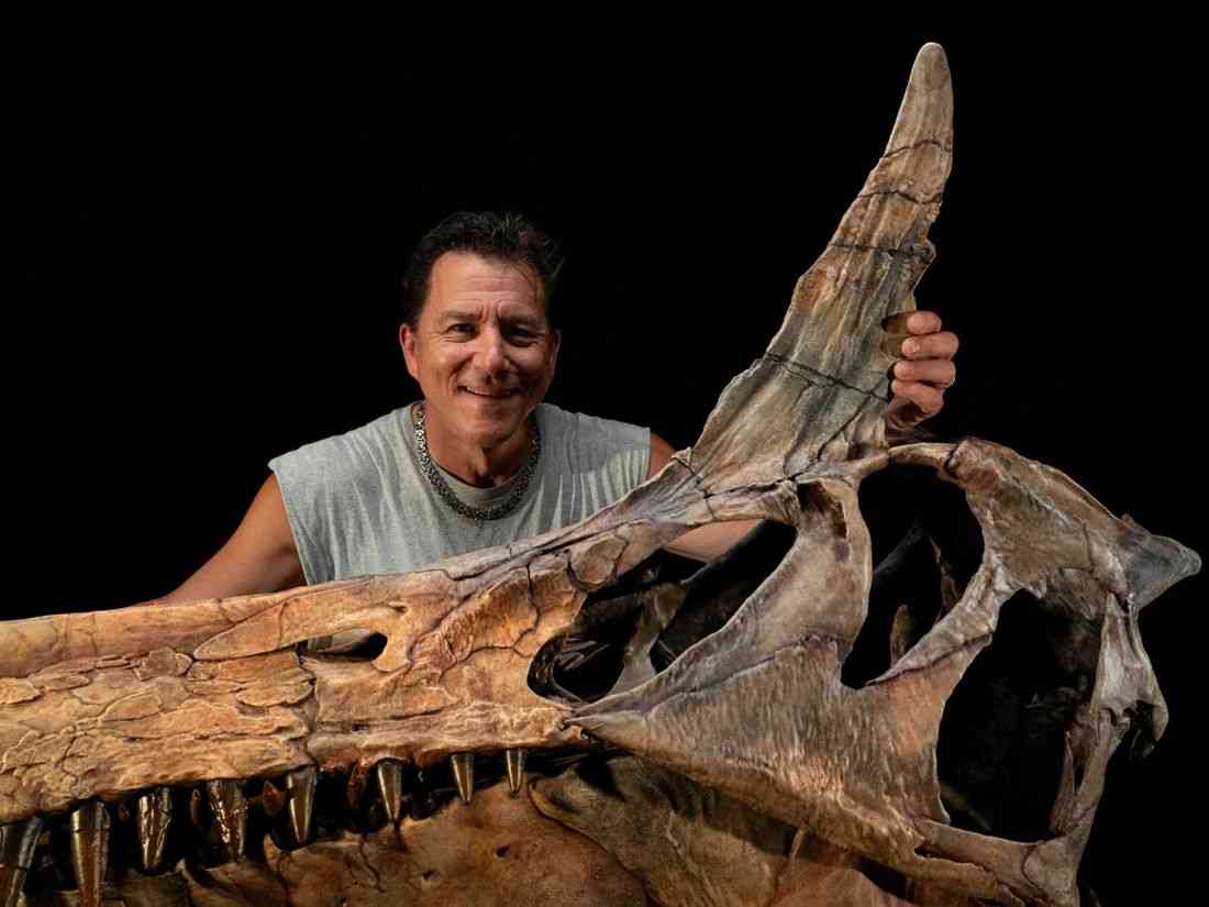 A Sahara desert odyssey yields a major dinosaur discovery