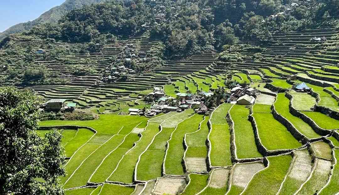 Philippines named largest tourism economy in ASEAN – DOT