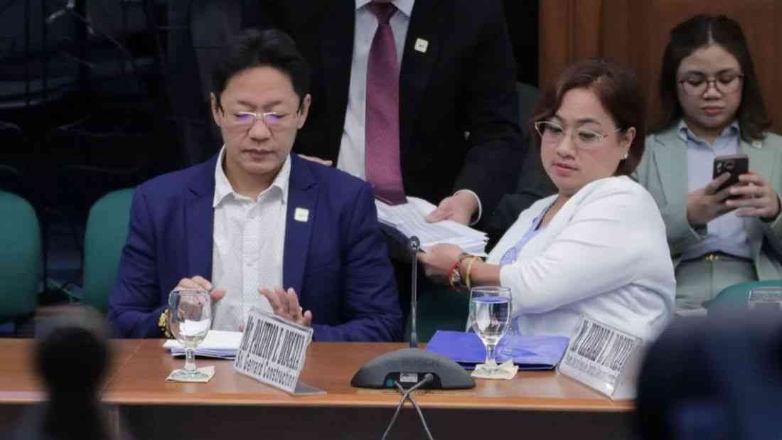 Pasay RTC rejects Discaya petition, upholds senate contempt citation