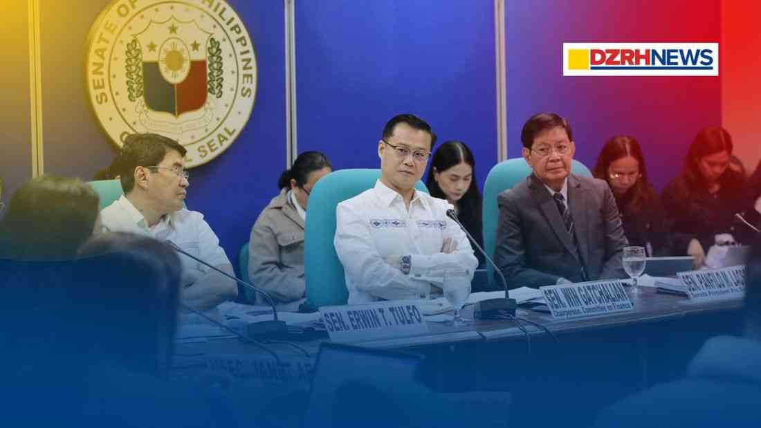 Senate pushes budget reforms to accelerate spending, sustain economic growth