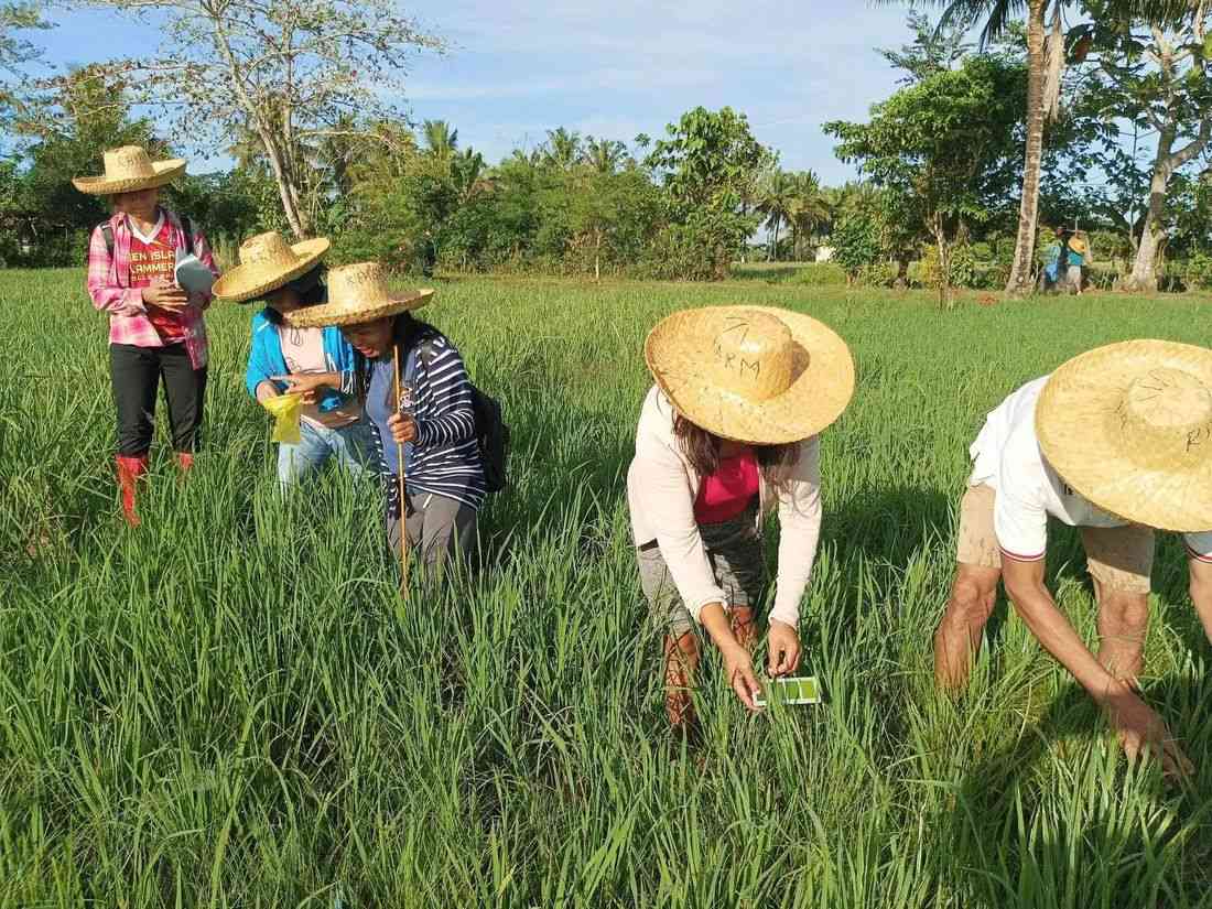 DA to roll out ₱5,000 fuel subsidy for qualified Filipino farmers amid rising oil prices