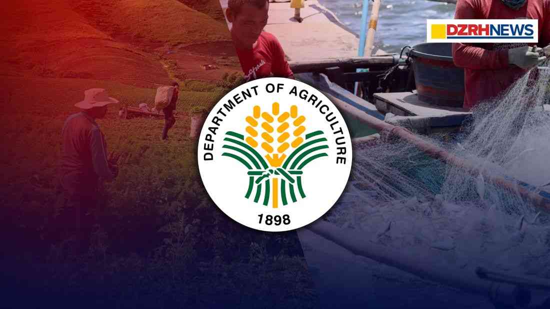 DA to roll out cash aid to over 4M farmers, fisherfolk in April