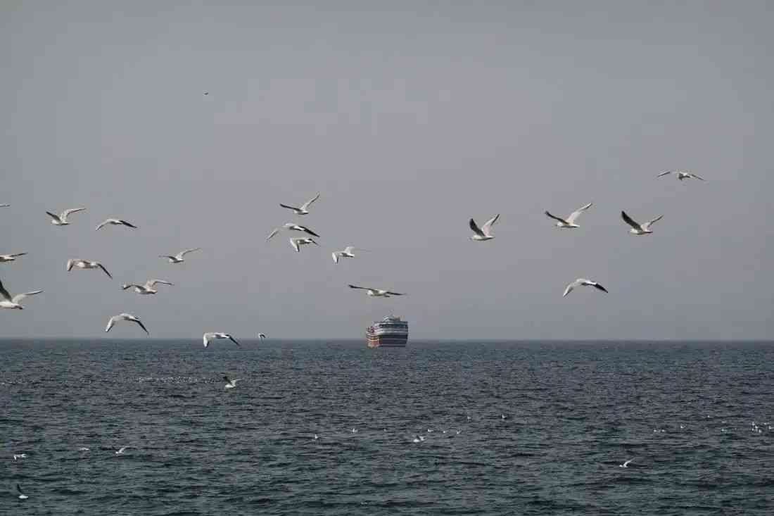 PH has 'no capability' to escort oil tankers through Strait of Hormuz — DND