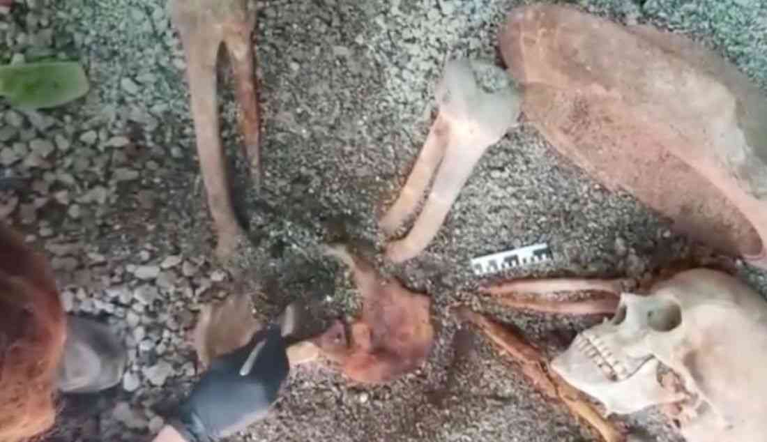 Archaeologists use AI to generate image of Pompeii victim