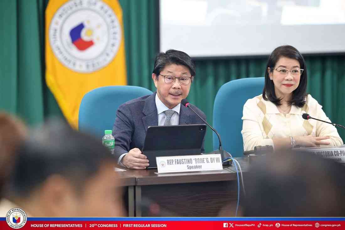 Gov’t seeks Zaldy Co’s immediate repatriation, accountability — Speaker Dy