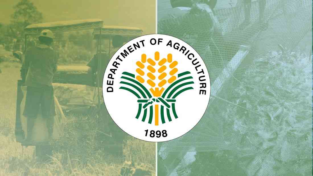 Farmers, fisherfolk to receive over ₱2K as cash aid amid oil crisis; distribution to start on Wednesday — DA