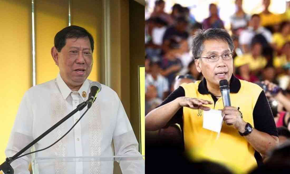 Erice pushes Mar Roxas to run in 2028 presidential polls
