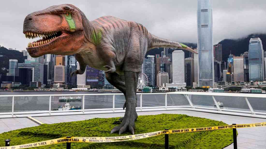 Here's how Tyrannosaurus ended up with a big head and small arms