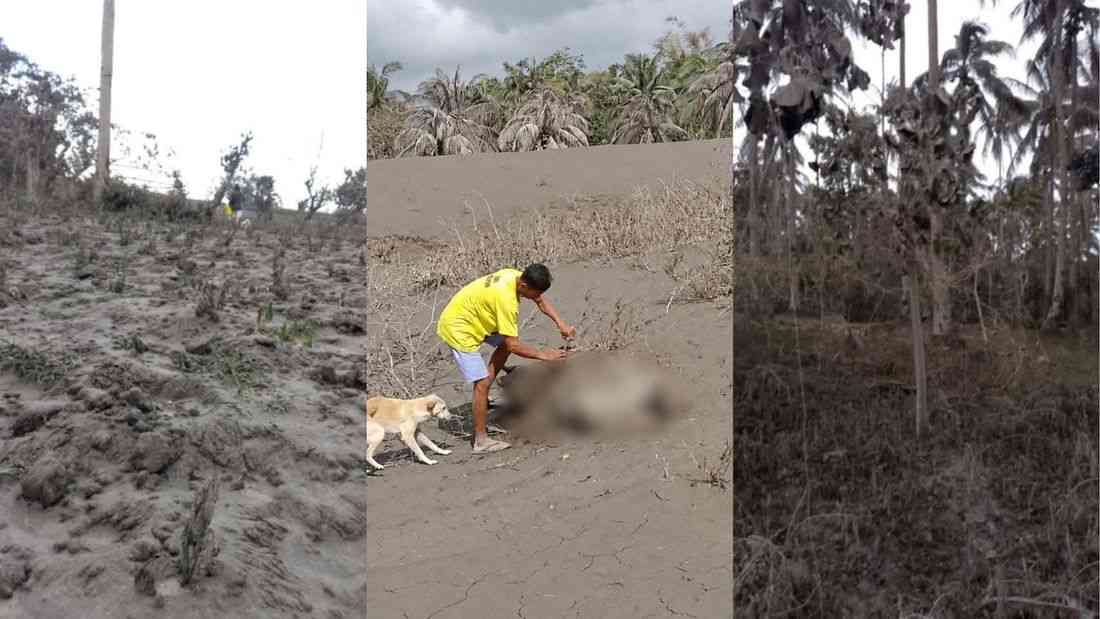 17 of 50 barangays, over 8K families in Camalig, Albay affected by Mayon ashfall — mayor