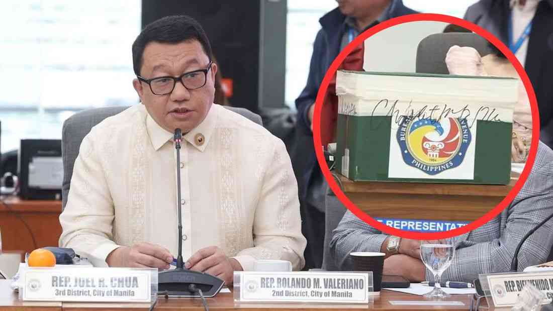 Chua urges impeachment court to act on BIR records box marking as evidence before trial