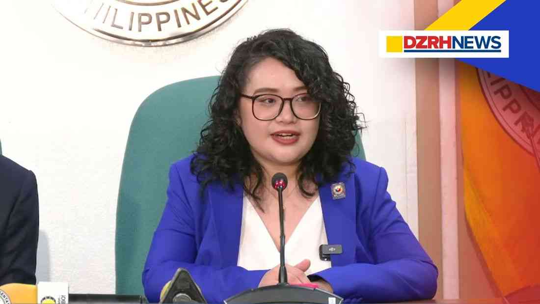 House prosecutors on VP Duterte: The public is interested in evidence and answers, not updates on status
