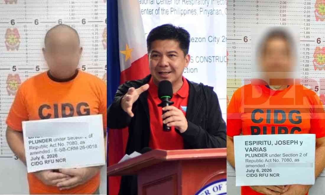 Defensor, 2 co-accused plead not guilty in plunder case