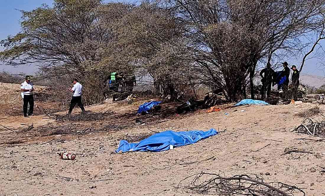 Thirteen die in tourist plane crash over Peru's Nazca Lines