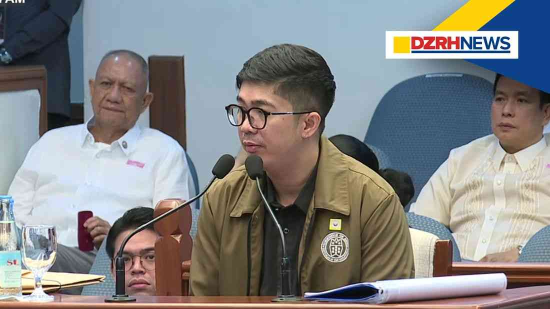 Witness says OVP's P35-M reward payment report not compliant with COA rules