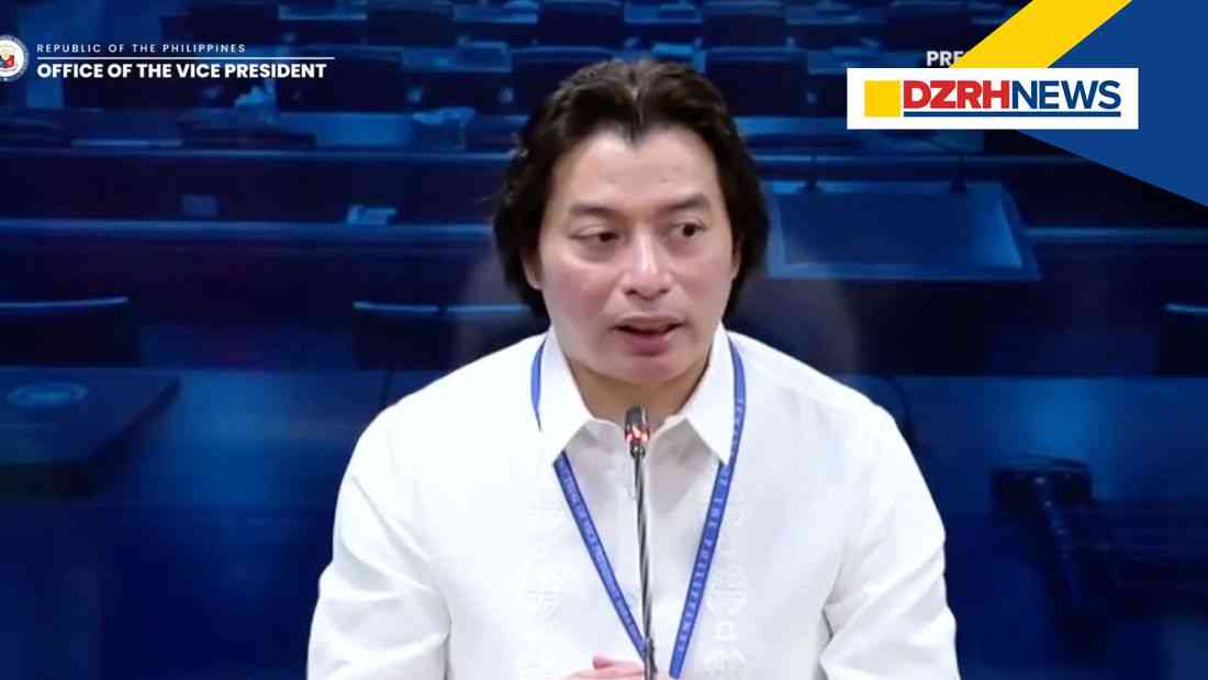Defense says Ombudsman witness not proper to interpret VP Duterte SALNs