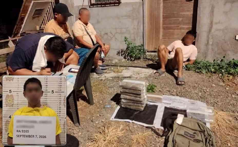 P1-M worth of marijuana seized, 1 drug dealer nabbed in Davao City