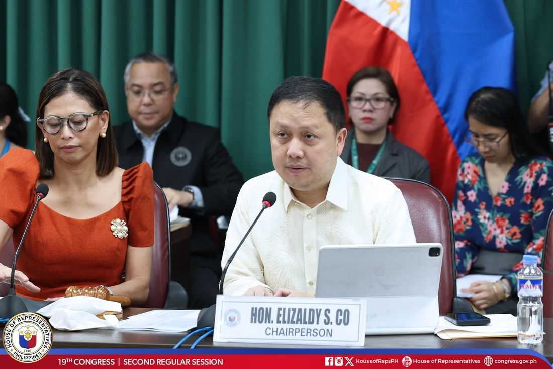 Firms linked to Zaldy Co attempted to deregister three choppers — Dizon