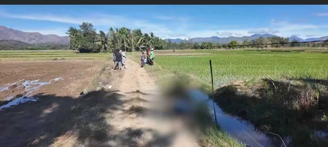 Two siblings found dead in Dolores, Abra