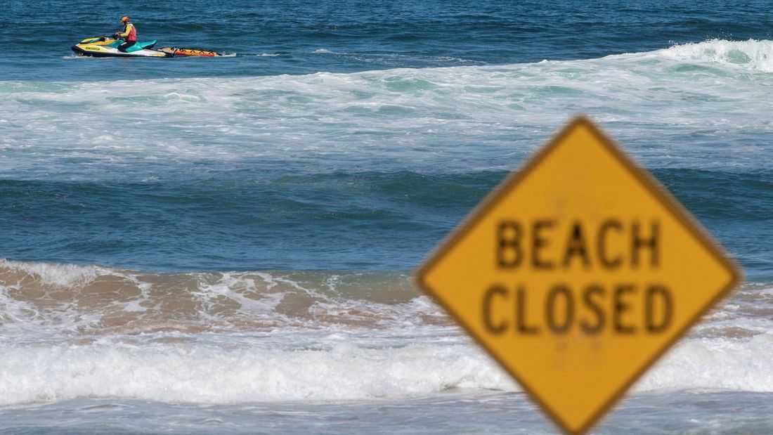 Australian boy dies after shark attack in Sydney Harbour