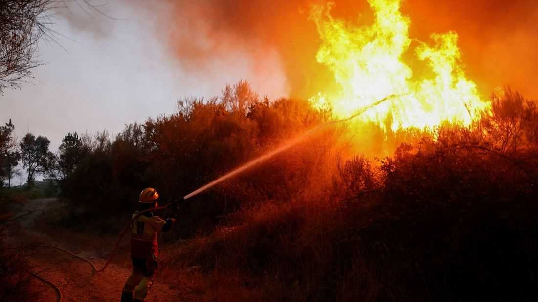 2025 was the world's third-warmest year on record, EU scientists say