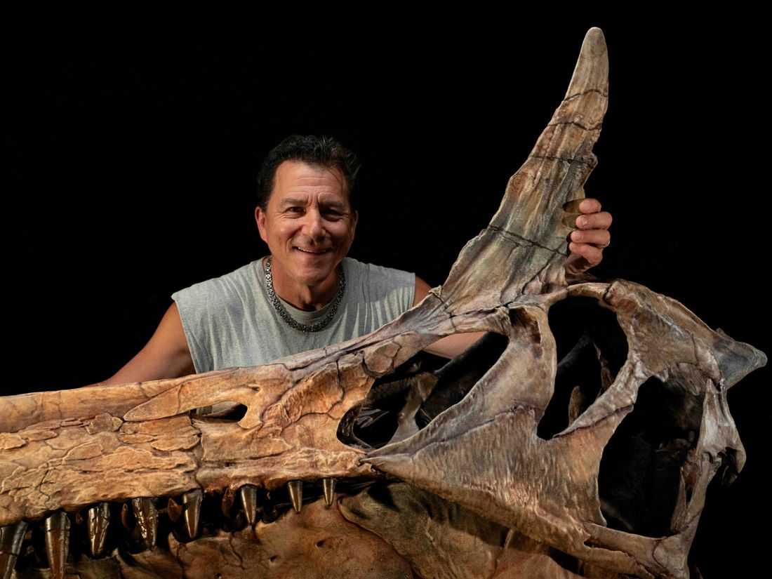 A Sahara desert odyssey yields a major dinosaur discovery