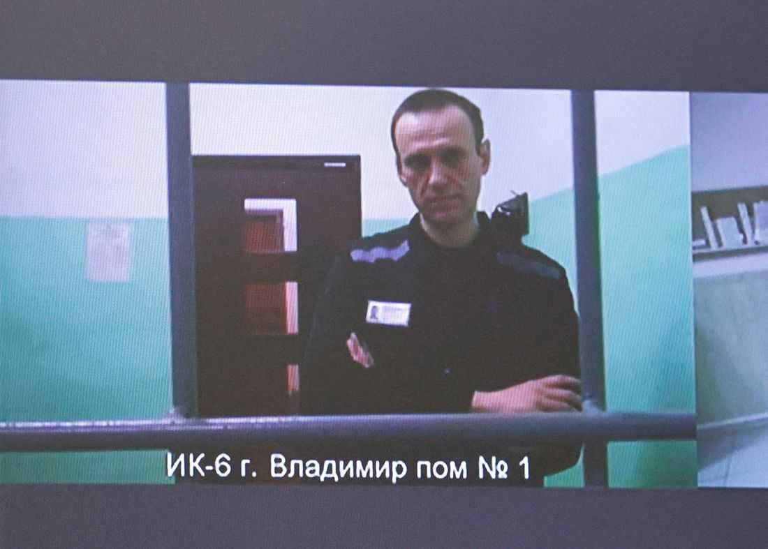 European allies say Navalny was poisoned by dart frog toxin; Russia rejects claims