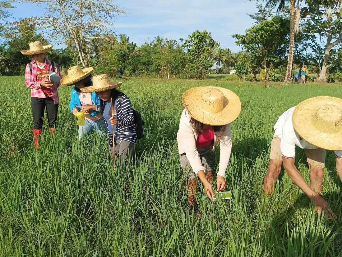 DA to roll out ₱5,000 fuel subsidy for qualified Filipino farmers amid rising oil prices