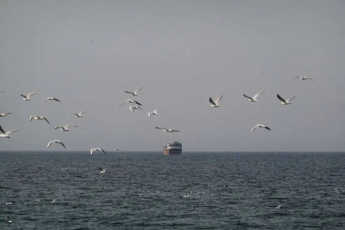 PH has 'no capability' to escort oil tankers through Strait of Hormuz — DND