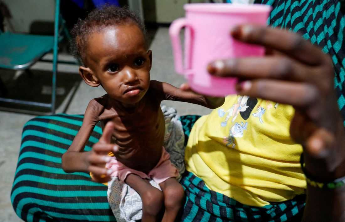 Millions of people in Sudan surviving on one meal a day as food crisis deepens, NGOs say