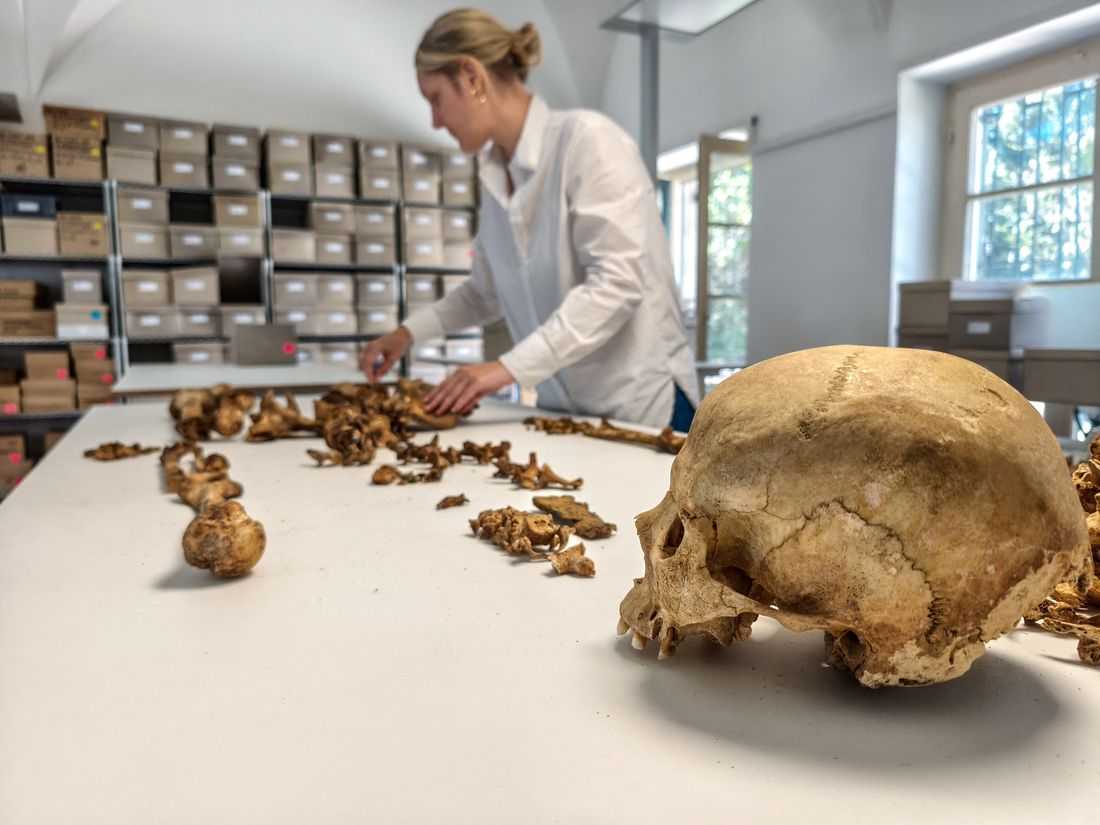 Genome study reveals what happened after the Roman Empire fell