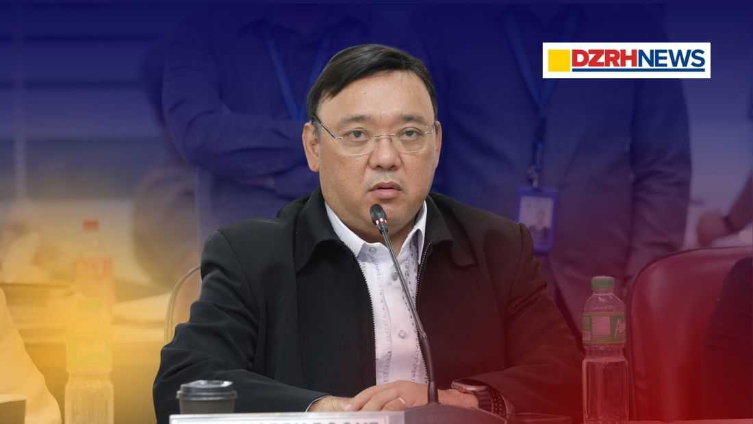 BIR files tax evasion case vs Harry Roque, others over ₱3.35-m tax deficiency