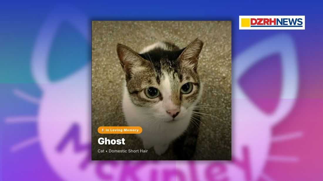 #JusticeForGhost: Cats of McKinley urge patience, unity as ‘Ghost’ case investigation continues