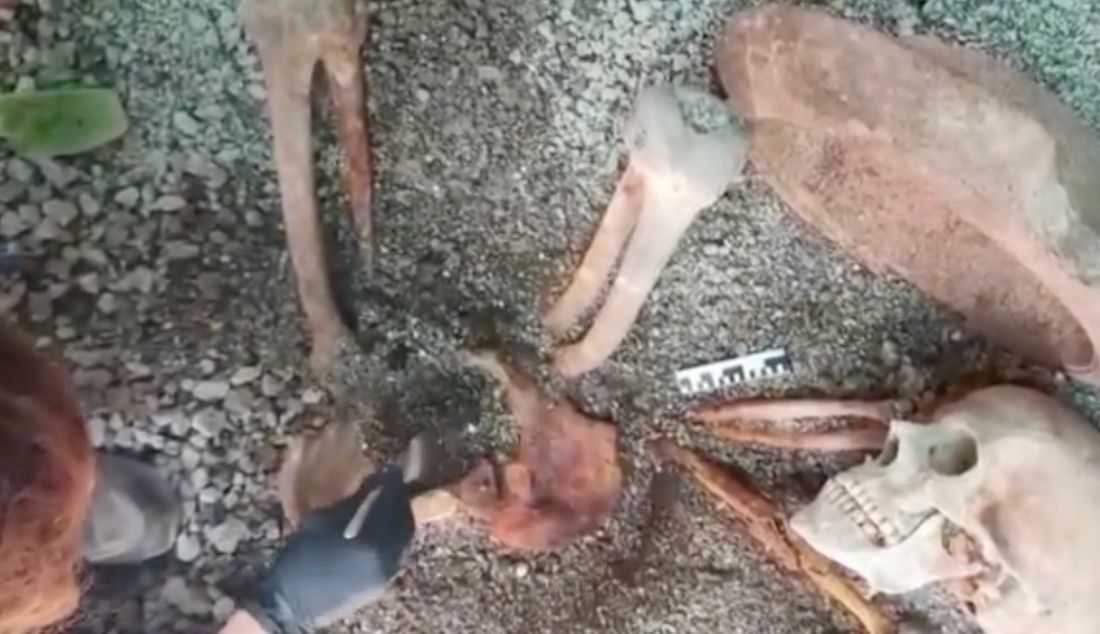 Archaeologists use AI to generate image of Pompeii victim