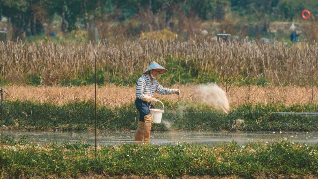 Possible ₱75-B loss looms for agriculture sector amid rising fertilizer prices