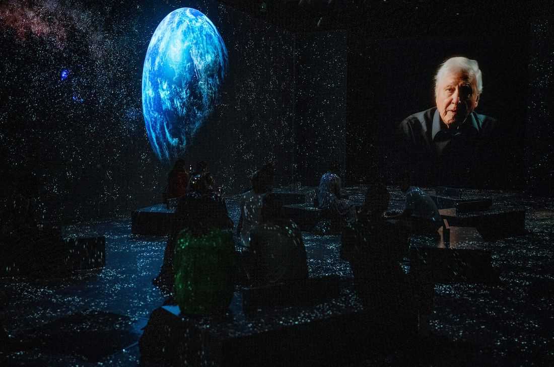 David Attenborough centenary celebrations start with closer look at 'Life on Earth'