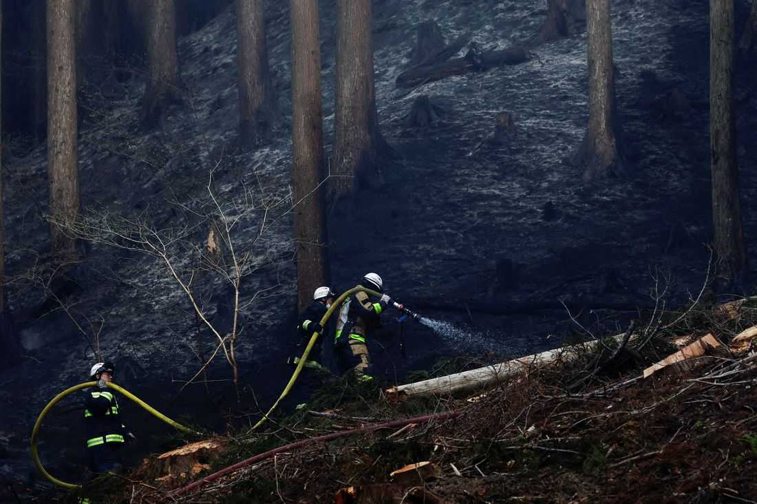 Firefighters in northern Japan struggle to contain blazes as over 3,000 people evacuated