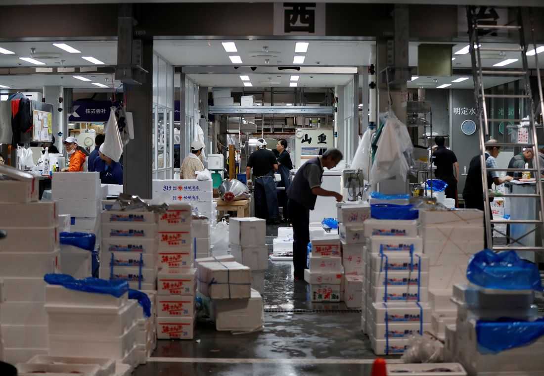 Japan's wholesale inflation spikes on energy shock, bolsters case for June rate hike