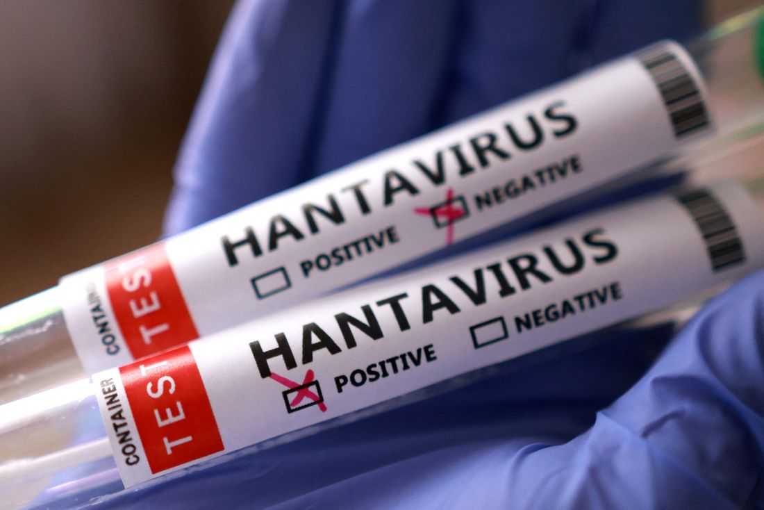Singapore tests two residents for hantavirus after cruise outbreak