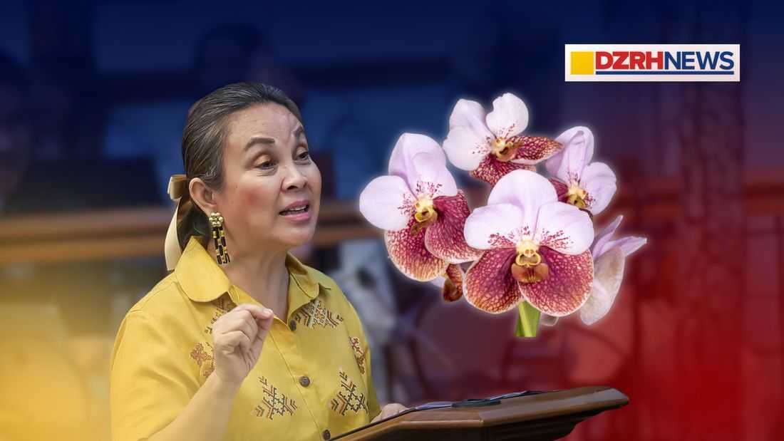 Sen. Legarda pushes bill declaring 'waling-waling' as PH national orchid to boost conservation efforts