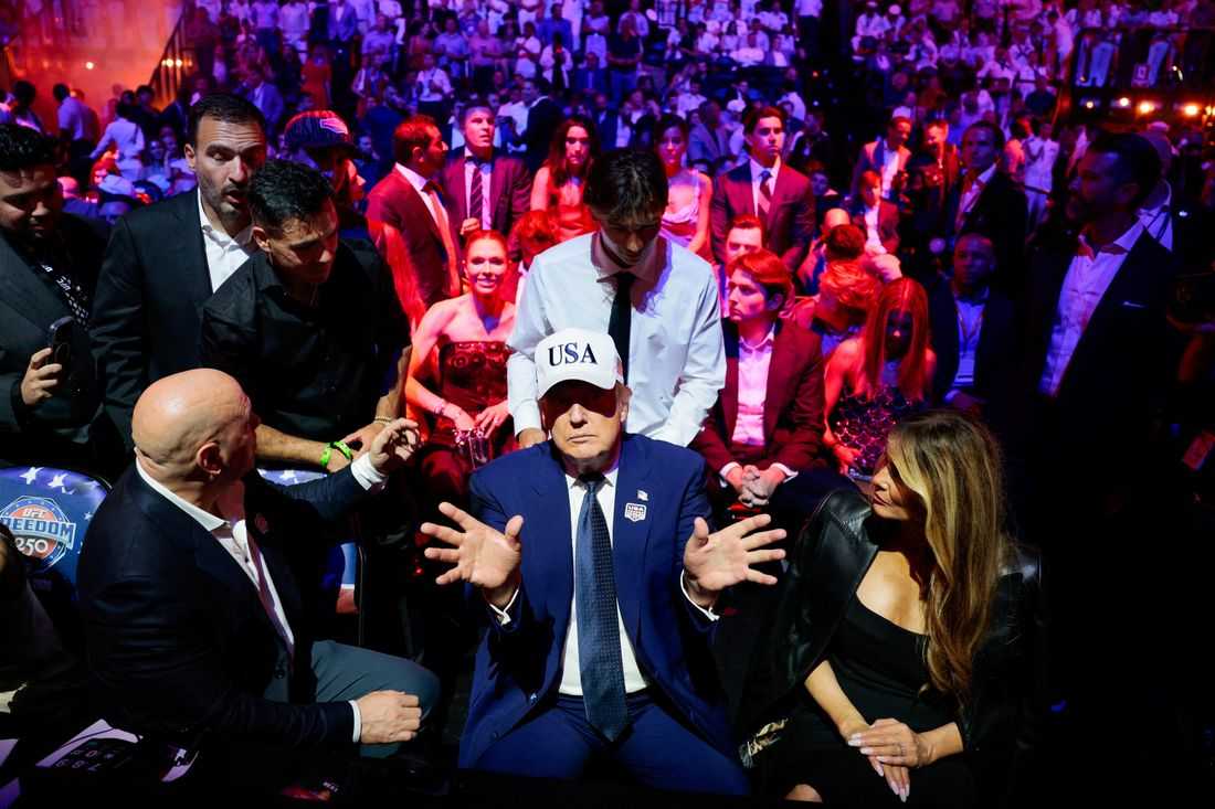 White House's UFC fights concentrate Trump's sporting, political and economic power