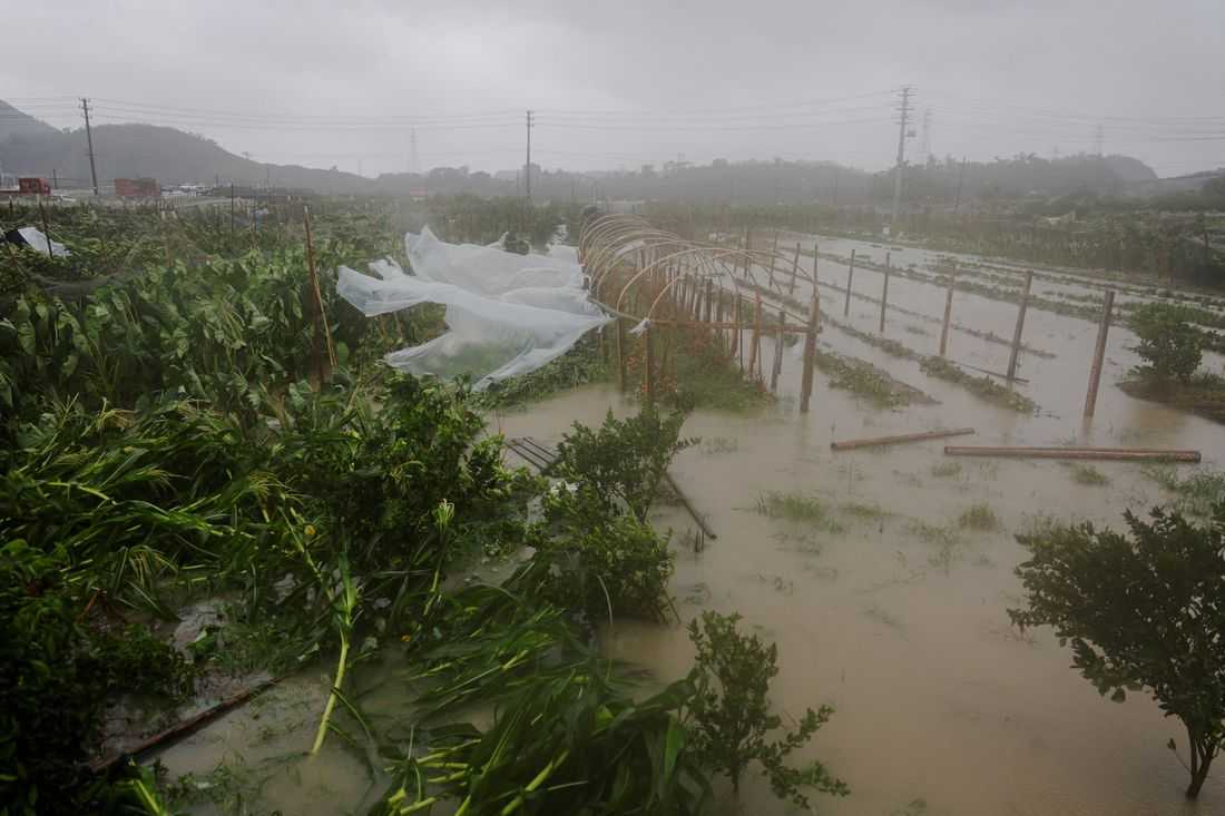 Typhoon Bavi batters east China, Taiwan reports 134 injured