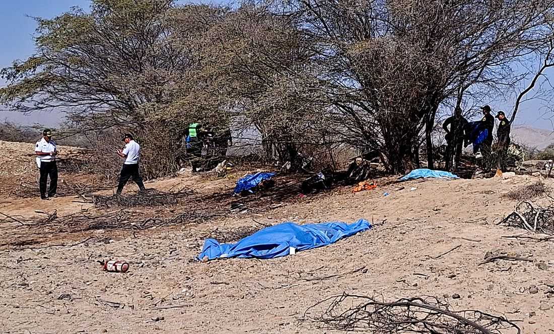 Thirteen die in tourist plane crash over Peru's Nazca Lines