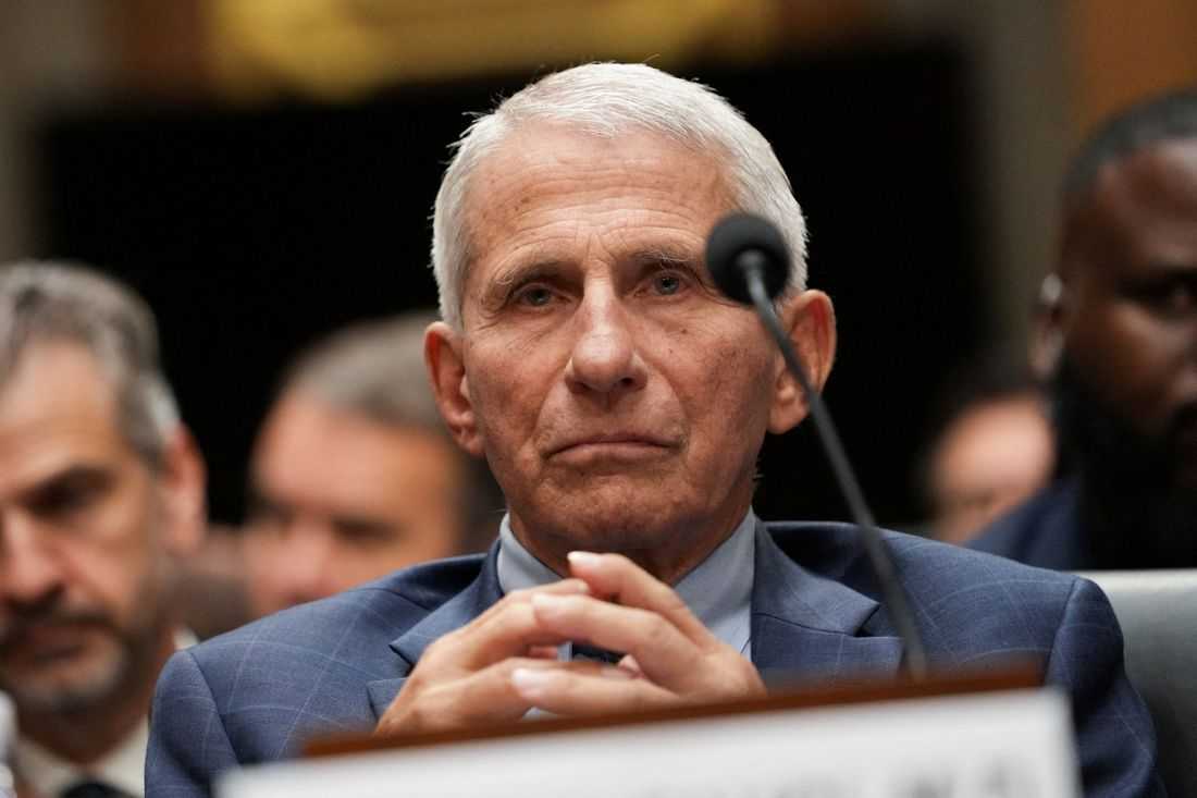 Trump suggests Fauci should be prosecuted