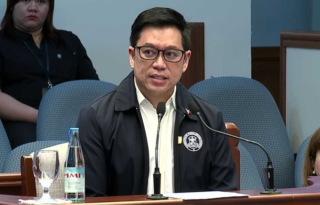 OVP had no specific national security, peace and order programs when it requested CF in August 2022 — Ortonio