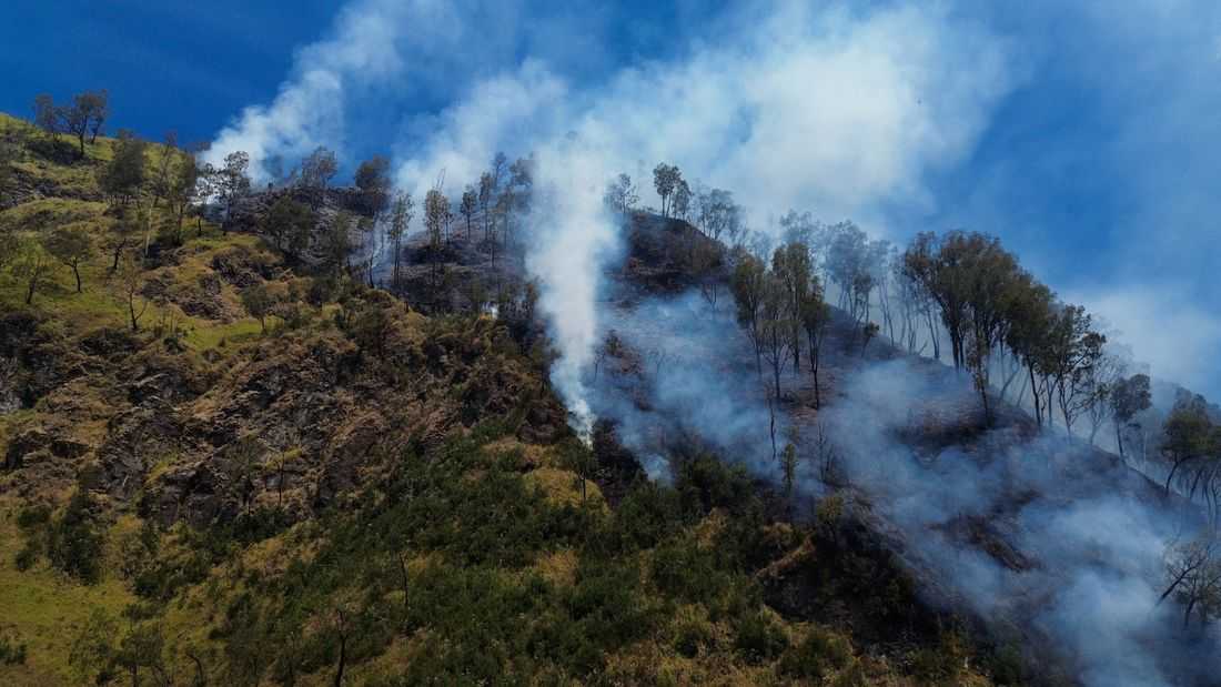 Fire destroys at least 60 hectares at Indonesia's Mount Bromo park, agency says